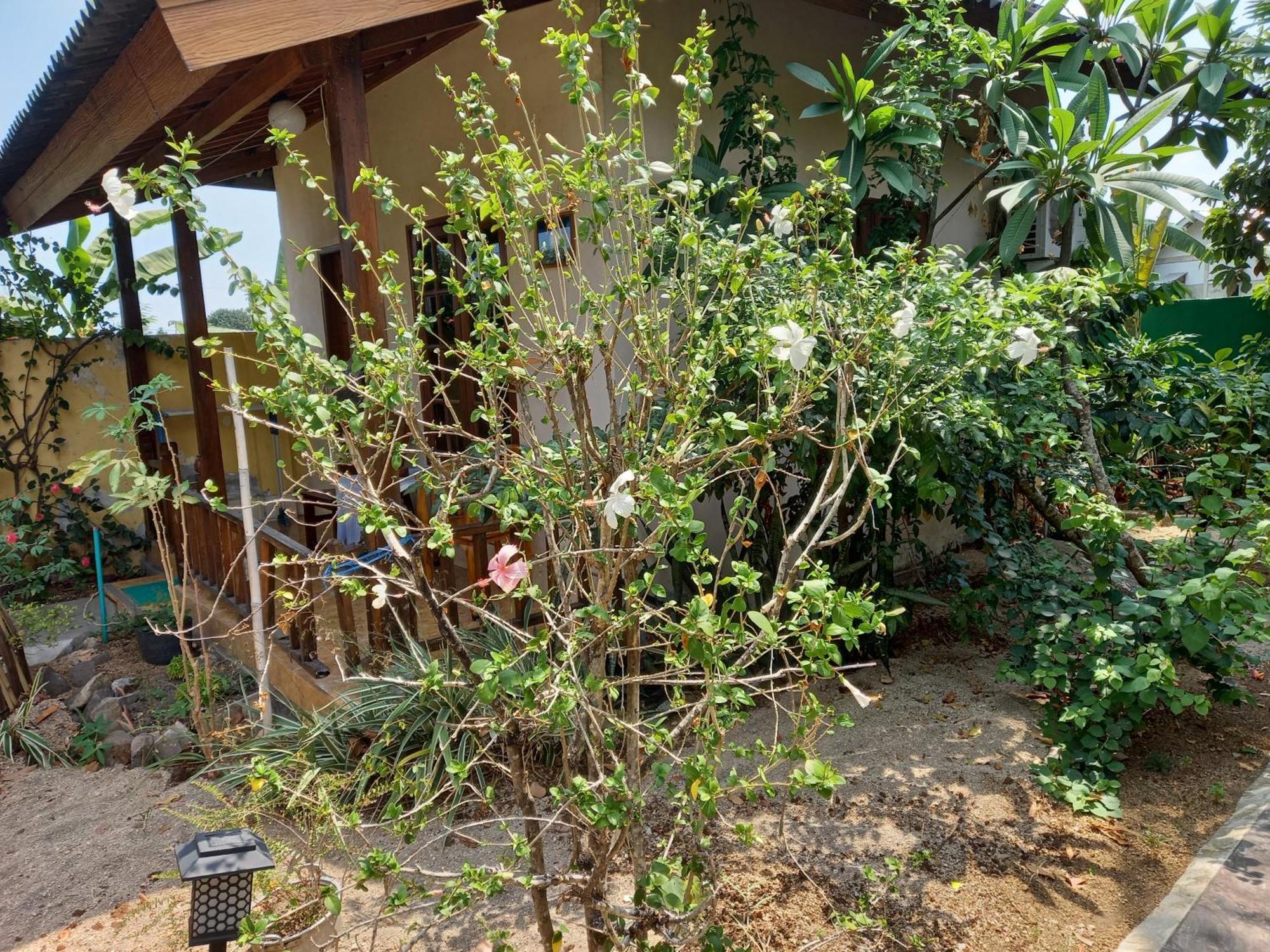 Arnel Bungalows เซงกีกี ภายนอก รูปภาพ